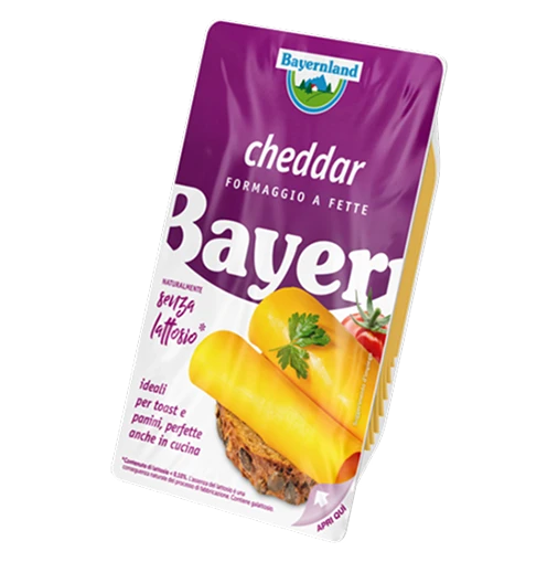 Cheddar Senza Lattosio 100g